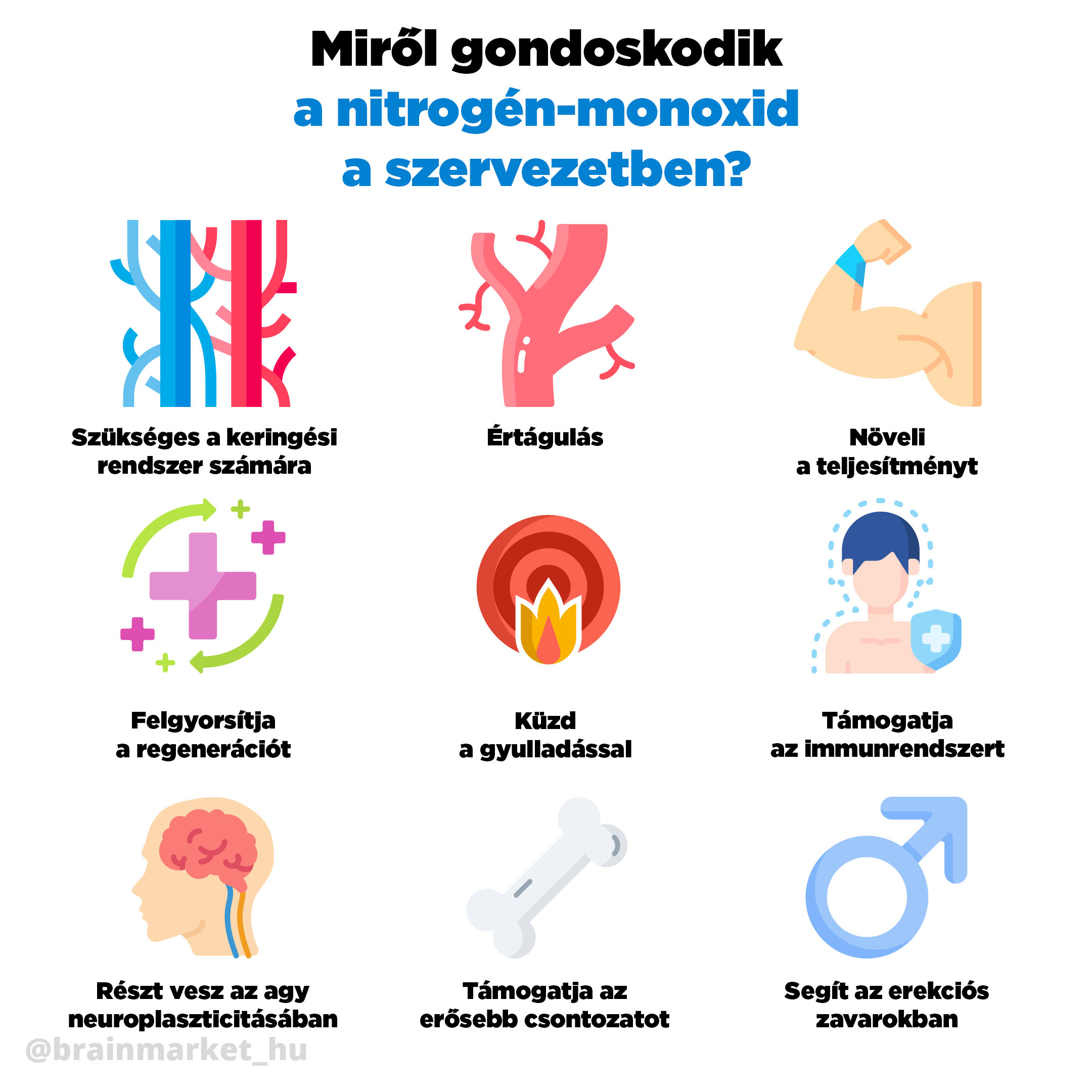 co ma v tele na startost oxid dusnaty infografika brainmarket HU